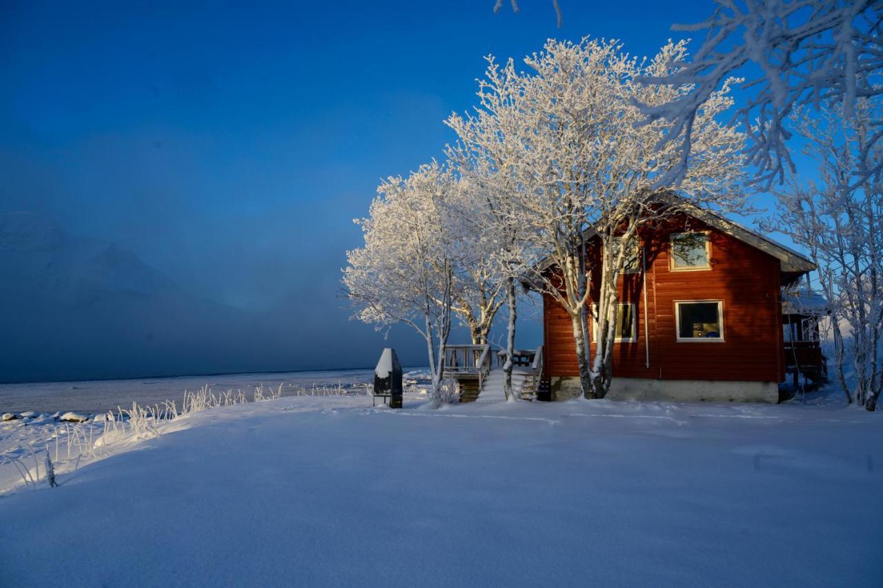 The Red Fjordhouse Holiday home *