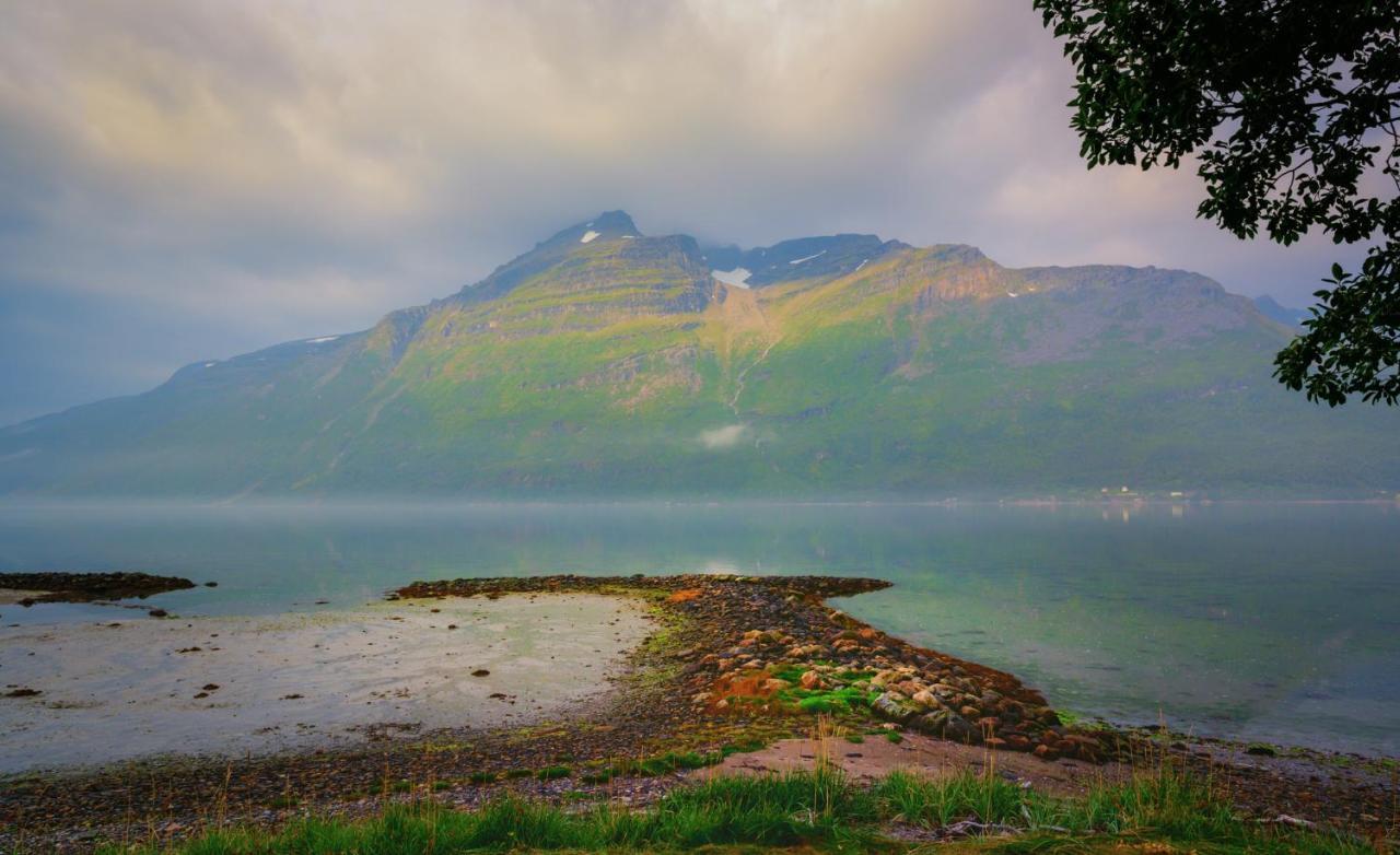 The Red Fjordhouse *