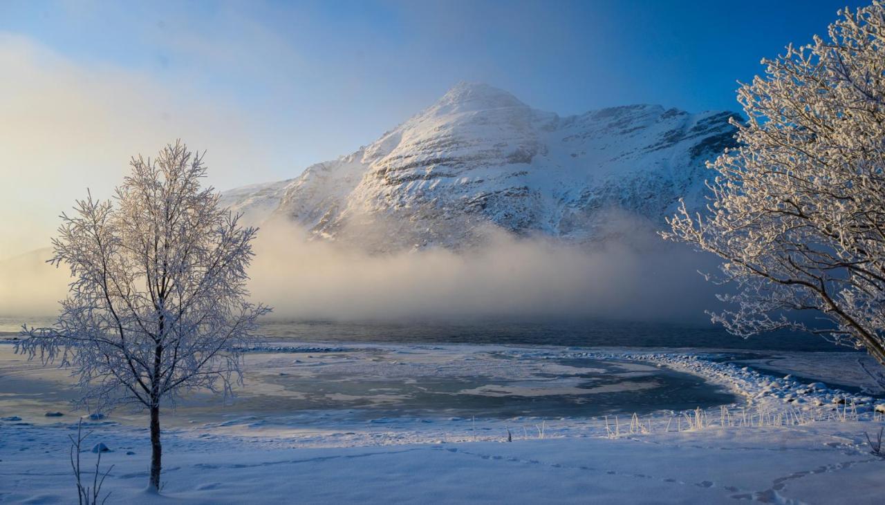 The Red Fjordhouse